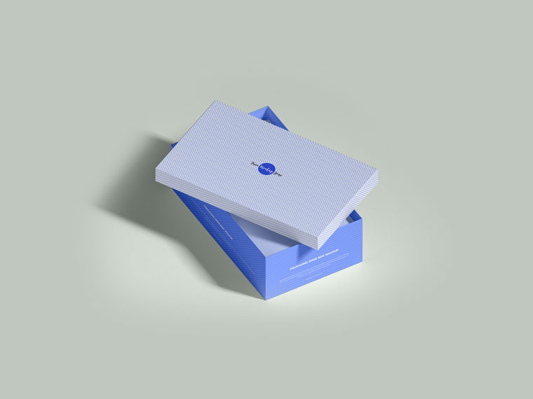 Download Box Branding Shoe Packaging Mockup - Mockup River
