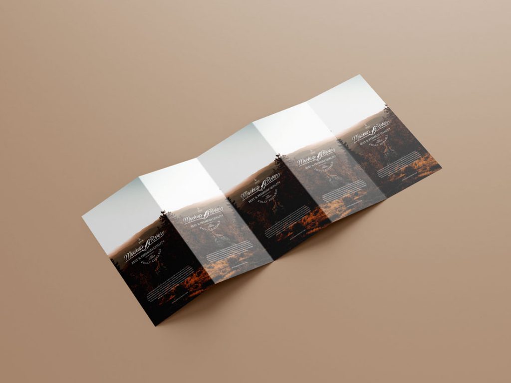 PSD-Five-Fold-DL-Brochure-Mockup-Design-Template
