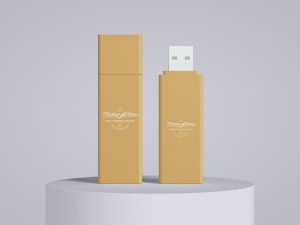 Free-Branding-Flash-Drive-USB-Mockup